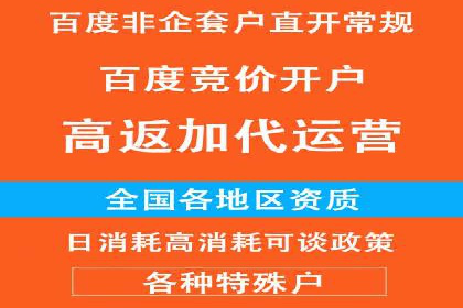百度推广返点策略：成功案例分享